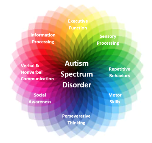 What is spectrum disorder?